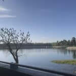 Teich im Park