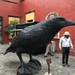 Cuervo-Rabe
